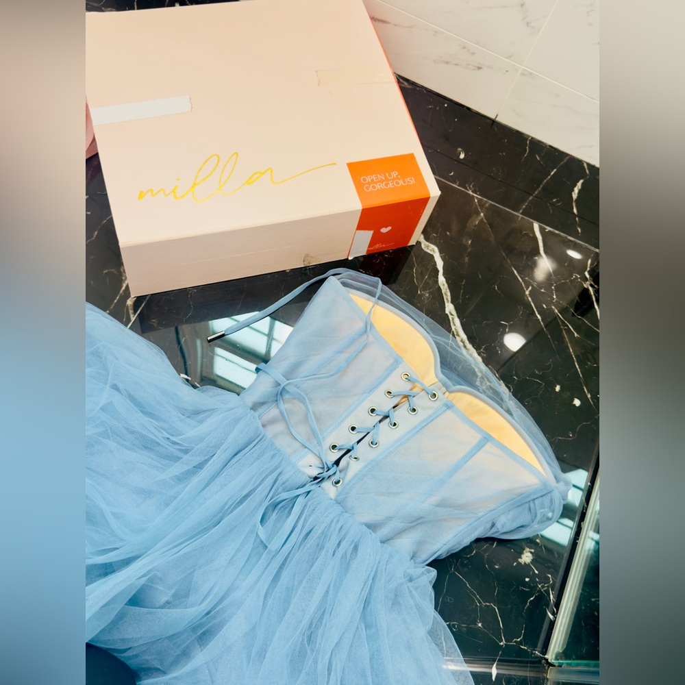 Milla blue corset dress 
Size small